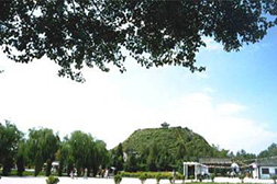 玉泉網(wǎng)站建設