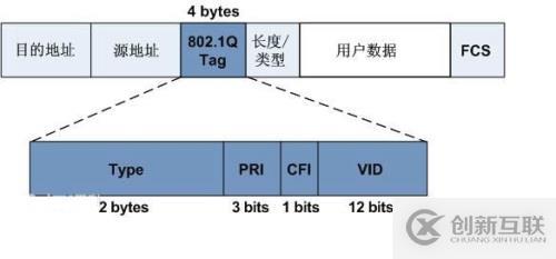 VLAN 學習筆記