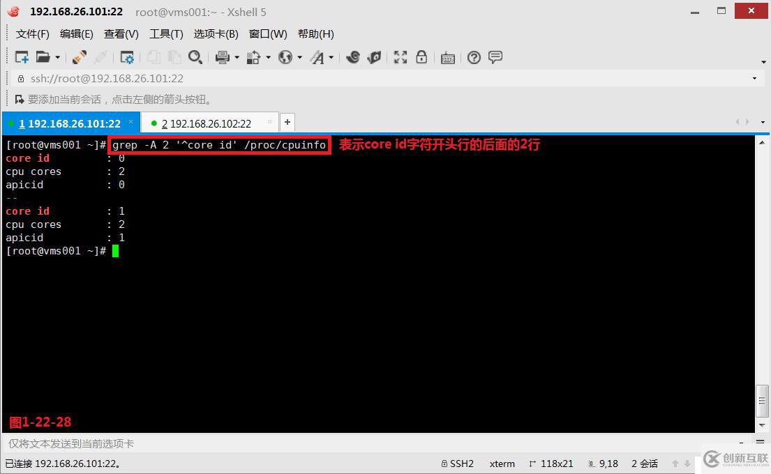 【我的Linux，我做主！】通配符和正則表達(dá)式深層解析