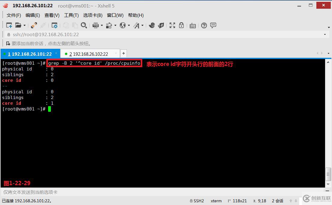 【我的Linux，我做主！】通配符和正則表達(dá)式深層解析