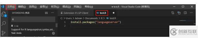 vscode怎么寫r語言