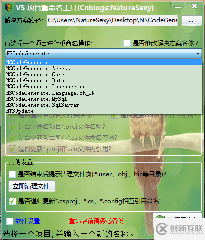 VS項(xiàng)目整體重命名工具是什么