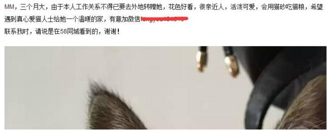 信息流爆炸時(shí)代，流量分散，玩轉(zhuǎn)吸粉，這些套路你得會(huì) 經(jīng)驗(yàn)心得 第1張
