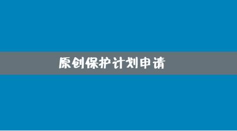 百度網(wǎng)站原創(chuàng)保護(hù)計(jì)劃，如何加入原創(chuàng)保護(hù)？有什么收益呢？ 經(jīng)驗(yàn)心得 第4張