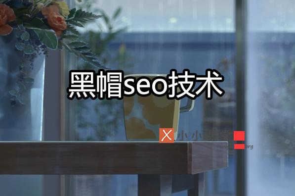 黑帽seo的網(wǎng)站有哪些特征？ 免費(fèi)推廣網(wǎng)站有哪些