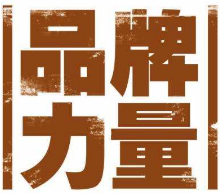 一段話解析終端的品牌域名到底多重要！ 如何自建網(wǎng)站