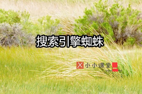 搜索引擎蜘蛛是如何爬行與抓取頁面的？ 什么是排名優(yōu)化