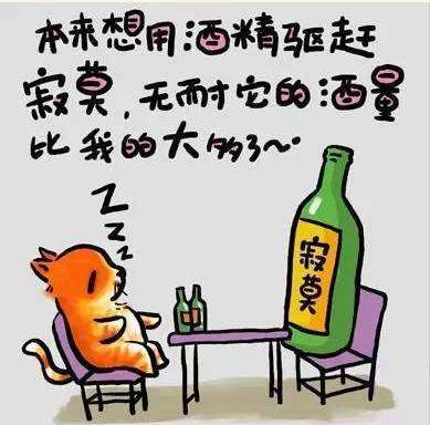 我們不能裝作很努力，得付出行動(dòng)！ 個(gè)人怎樣建網(wǎng)站