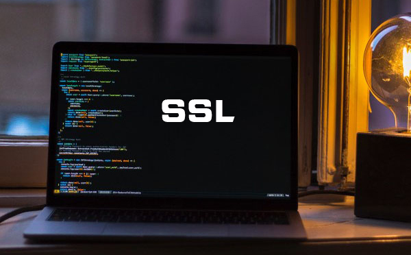 ssl的組成是什么，ssl是什么意思