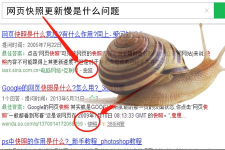 網頁快照更新不及時是什么問題？