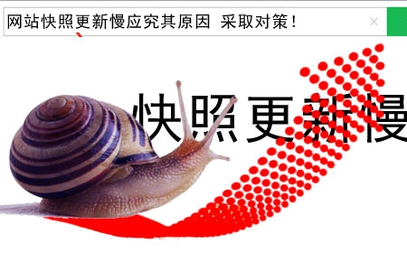 網(wǎng)站快照更新慢應(yīng)究其原因 采取對(duì)策！