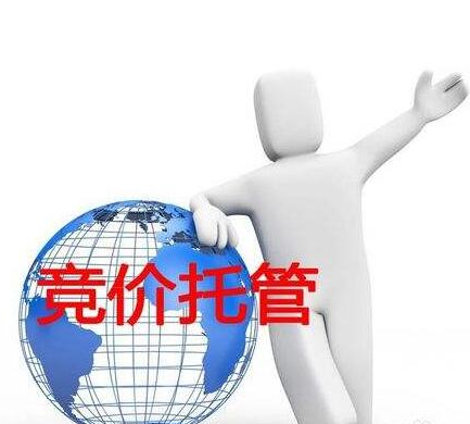 SEM競(jìng)價(jià)推廣排名結(jié)果如何查詢？